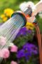 Afbeelding - https-www-ez-catalog-nl-Asset-cb8fc633b2184d4da65a5e2a4b99ccee-ImageFullSize-04078500024228-C1N0-s04-jpg